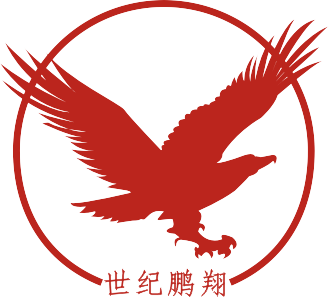 武漢世紀鵬翔科技有限公司logo