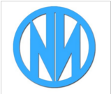 武漢諾輝醫藥化工有限公司logo
