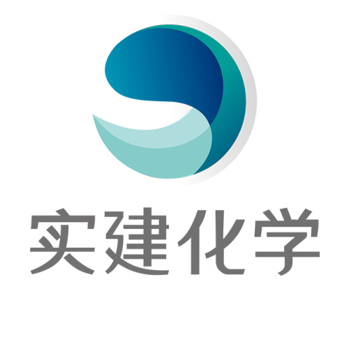 上海實建實業(yè)有限公司logo