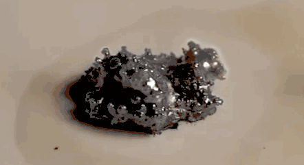 19.gif